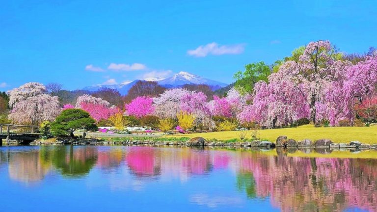 清らかな春の景色の画像